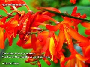 Charlie_Sheen Quotes 1