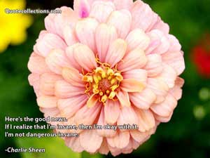 Charlie_Sheen Quotes 2