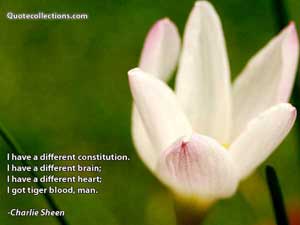 Charlie_Sheen Quotes 5