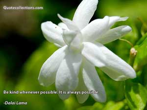 Dalai Lama Quotes 1