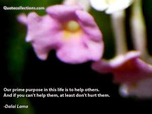Dalai Lama Quotes 5