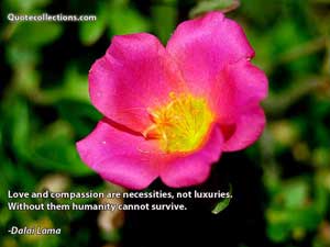 Dalai Lama Quotes 5