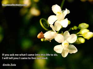 Emile_Zola Quotes 1