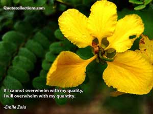 Emile_Zola Quotes 2