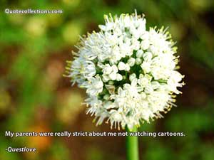 Questlove_quotes Quotes 1