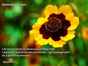 Questlove_quotes Quotes 3