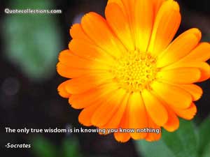socrates_quotes Quotes 1