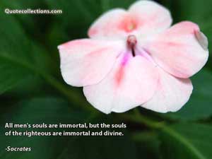 socrates_quotes Quotes 3