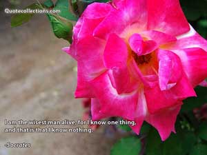 socrates_quotes Quotes 4