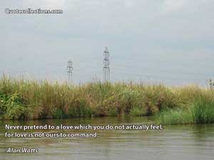 Alan Watts Quotes 1