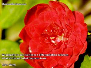 Alan Watts Quotes 7