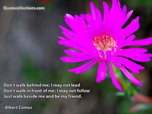 Albert Camus Quotes 1