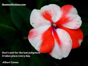 Albert Camus Quotes 5