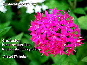 Albert Einstein Quotes 15