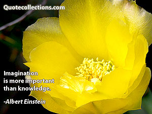 Albert Einstein Quotes 17