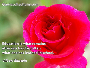 Albert Einstein Quotes 17
