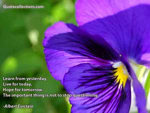 Albert Einstein Quotes 4