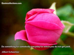 Albert Schweitzer Quotes 3