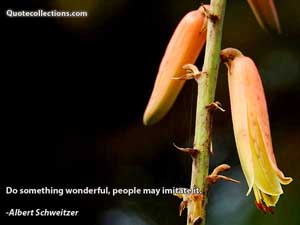 Albert Schweitzer Quotes 4