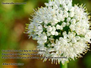 Albert Schweitzer Quotes 5
