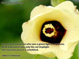 Albert Schweitzer Quotes 5