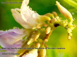 Albert Schweitzer Quotes 5