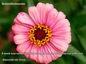 Alexander The Great Quotes 6