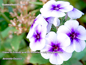 Aristotle Onassis Quotes 2