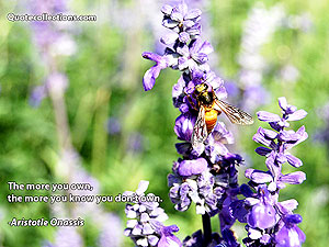 Aristotle Onassis Quotes 3