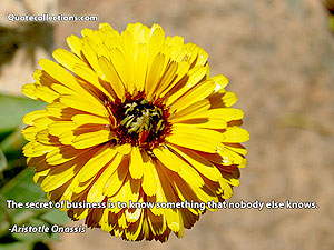 Aristotle Onassis Quotes 4