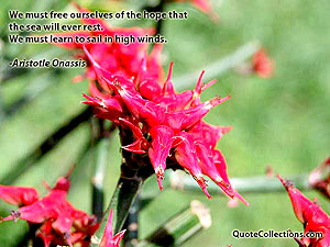 Aristotle Onassis Quotes 5