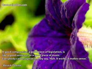 Barack Obama Quotes 4