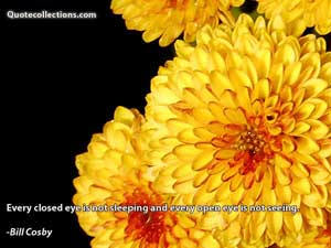 Bill Cosby Quotes 3