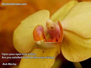 Bob Marley Quotes 1