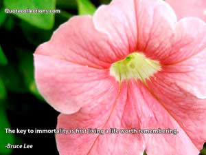 Bruce Lee Quotes 5