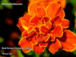 Bruce Lee Quotes 5