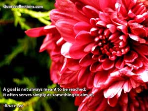 Bruce Lee Quotes 5
