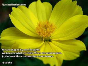 Buddha Quotes 5