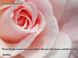 Buddha Quotes 5