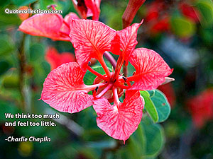 charlie-chaplin Quotes 1