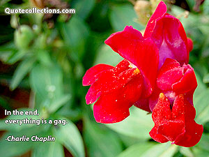 charlie-chaplin Quotes 5