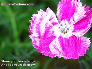 Corporate Quotes 5