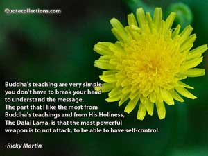 ricky_martin_quotes Quotes 4