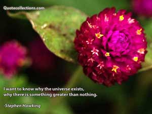 stephen_hawking_quotes Quotes 2