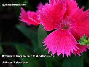 william_shakespeare_quotes Quotes 1