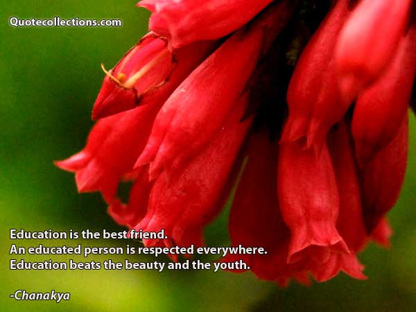 Chanakya Quotes3