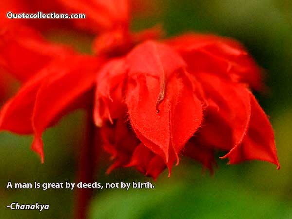 Chanakya Quotes4