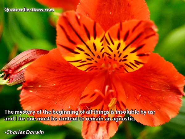 Charles Darwin Quotes1