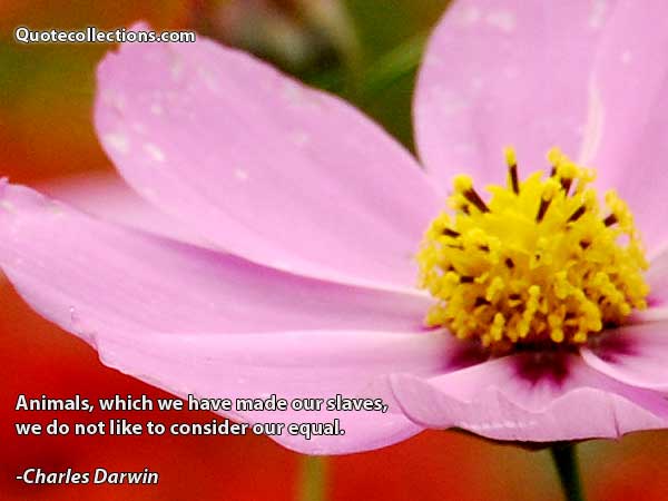 Charles Darwin Quotes6