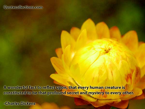 Charles Dickens Quotes4